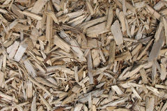 biomass boilers Hetherside